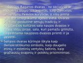 Lietuvių literatūros kurso kartojimas 13 puslapis