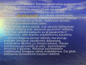 Lietuvių literatūros kurso kartojimas 14 puslapis