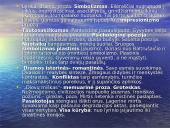 Lietuvių literatūros kurso kartojimas 19 puslapis