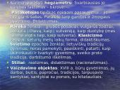 Lietuvių literatūros kurso kartojimas 3 puslapis