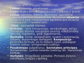 Lietuvių literatūros kurso kartojimas 10 puslapis