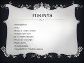 Salomėja Nėris - skaidrės 2 puslapis