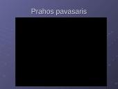 Prahos pavasaris ir Jano Palacho auka  3 puslapis