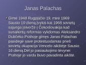 Prahos pavasaris ir Jano Palacho auka  5 puslapis