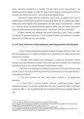 JAV karai Vietname ir Irake 7 puslapis