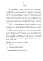 Infliacija, jos poveikis ekonomikai 2 puslapis