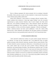 Infliacija, jos poveikis ekonomikai 6 puslapis