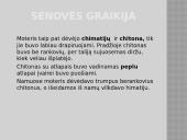 Kostiumo istorija, senovės stiliaus atspindžiai 12 puslapis