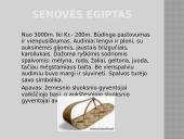 Kostiumo istorija, senovės stiliaus atspindžiai 3 puslapis