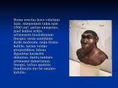 Evoliucijos įrodymai. Pristatymas 15 puslapis