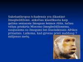 Evoliucijos įrodymai. Pristatymas 19 puslapis