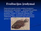 Evoliucijos įrodymai. Pristatymas 3 puslapis