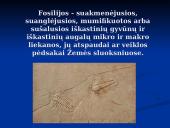 Evoliucijos įrodymai. Pristatymas 6 puslapis