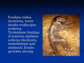 Evoliucijos įrodymai. Pristatymas 7 puslapis