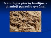 Evoliucijos įrodymai. Pristatymas 9 puslapis
