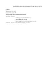 Lengvosios atletikos pamokos planas