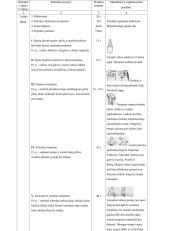 Lengvosios atletikos pamokos planas 2 puslapis