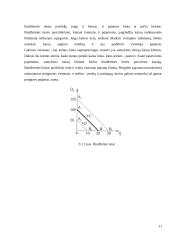 Vartotojo elgsena ir naudingumo teorija 11 puslapis