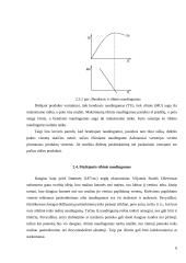 Vartotojo elgsena ir naudingumo teorija 6 puslapis
