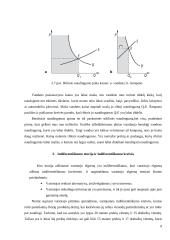 Vartotojo elgsena ir naudingumo teorija 9 puslapis