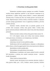 Neturtinės žalos atlyginimas kaip civilinių teisių gynimo būdas 6 puslapis