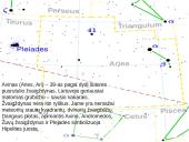 Zodiako žvaigždynai. Pristatymas 8 puslapis