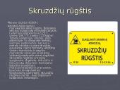 Karboksi rūgštys  9 puslapis