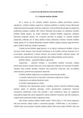 Valstybės biudžeto formavimas ir jo panaudojimas 11 puslapis