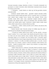 Valstybės biudžeto formavimas ir jo panaudojimas 4 puslapis