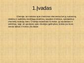 Chemijos galimybės praeityje ir dabartyje 3 puslapis