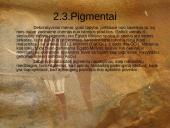 Chemijos galimybės praeityje ir dabartyje 7 puslapis