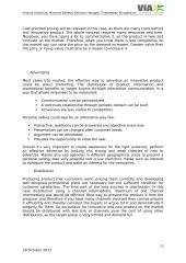 Marketing plan for innovative idea 17 puslapis