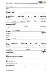 Marketing plan for innovative idea 3 puslapis