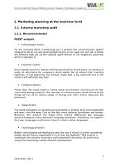 Marketing plan for innovative idea 6 puslapis