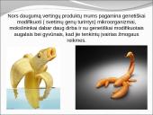 Genetiškai modifikuoti organizmai 4 puslapis