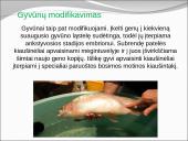 Genetiškai modifikuoti organizmai 5 puslapis