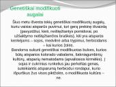 Genetiškai modifikuoti organizmai 7 puslapis