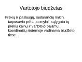 Vartotojo elgsena ir prekių paklausa. Pristatymas 17 puslapis