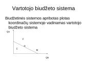 Vartotojo elgsena ir prekių paklausa. Pristatymas 18 puslapis