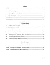 Lietuvos valstybės skola. Kursinis darbas 2 puslapis