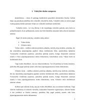 Lietuvos valstybės skola. Kursinis darbas 4 puslapis