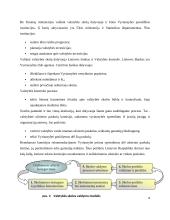 Lietuvos valstybės skola. Kursinis darbas 8 puslapis