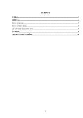 Streso įveikimo ir valdymo būdai 2 puslapis