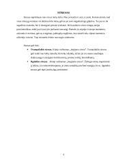 Streso įveikimo ir valdymo būdai 4 puslapis