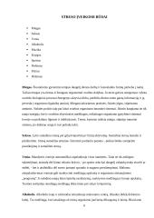 Streso įveikimo ir valdymo būdai 6 puslapis