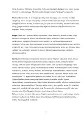 Streso įveikimo ir valdymo būdai 7 puslapis