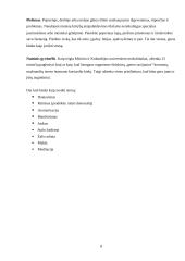 Streso įveikimo ir valdymo būdai 8 puslapis