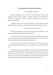 Įvaikinimas 11 puslapis