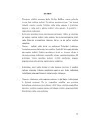 Įvaikinimas 12 puslapis