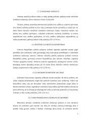 Įvaikinimas 7 puslapis